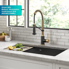 Bolden Commercial Style 2-Function Single Handle Pull down Kitchen Faucet in Brushed Gold, KPF-1610BG