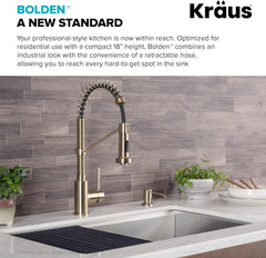 Bolden Commercial Style 2-Function Single Handle Pull down Kitchen Faucet in Brushed Gold, KPF-1610BG