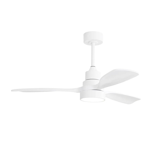 Modern 48-Inch Ceiling Fan with LED DC 6-Speed High Wind Speed with Remote Control