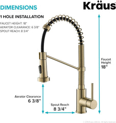 Bolden Commercial Style 2-Function Single Handle Pull down Kitchen Faucet in Brushed Gold, KPF-1610BG